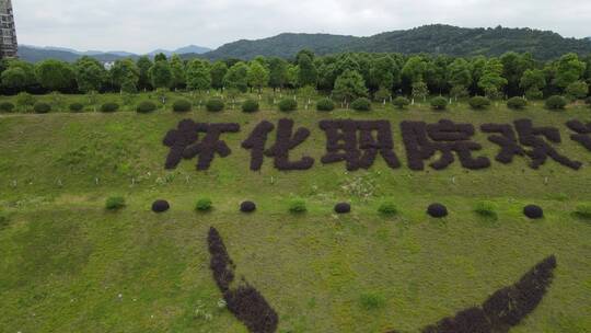 自然风光山川河流树林森林植物航拍