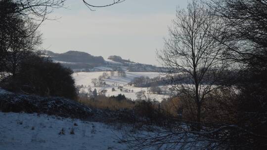 积雪覆盖的乡村景观