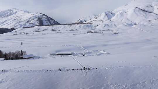 航拍新疆禾木雪景森林雪地小木屋禾木桥雪山