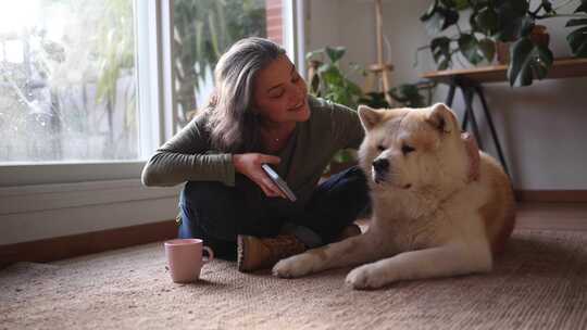 一个女人和她的秋田犬在家的爱情时刻