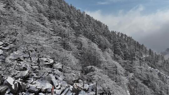 4K秦岭朱雀国家森林公园（冰晶顶）雪景航拍