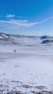 冬季内蒙古乌兰布统蓝天白云雪景