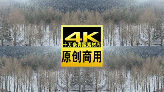 青海互助龙王山树木雪景航拍视频高清在线视频素材下载