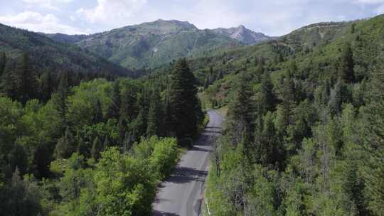 美国福克峡谷的风景优美的道路穿过郁郁葱葱的绿色森林；空中