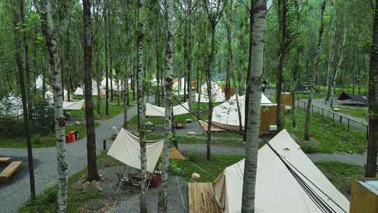 户外露营营地 营地酒店 森林营地