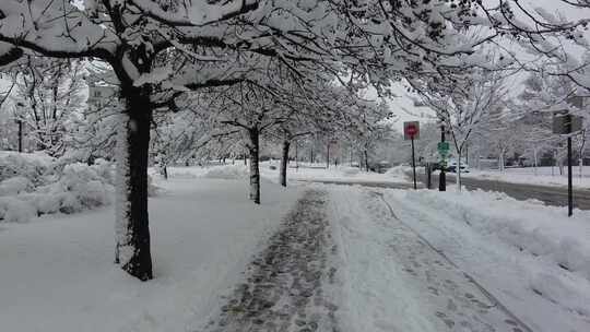 积雪覆盖的地面