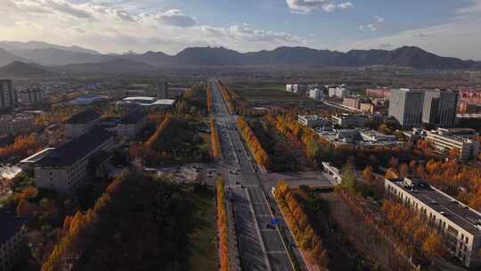 航拍 石家庄 秋天 蓝天 城市建设 城市道路