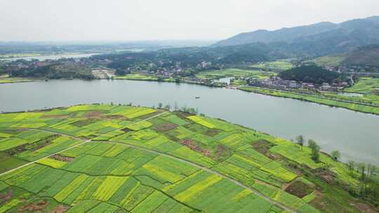 湖南省衡东县杨林镇洣水河畔油菜花航拍4k