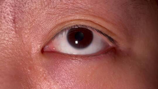 眼睛眼珠眼球瞳孔睫毛眼皮眼线 (2)