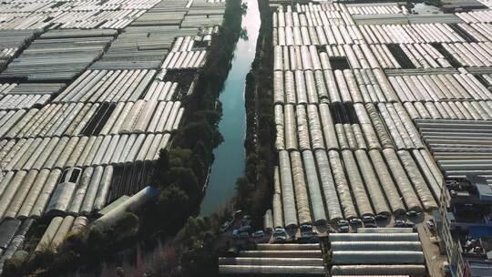 昆明斗南的鲜花蔬菜大棚