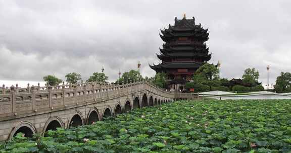 苏州重元寺荷叶荷花