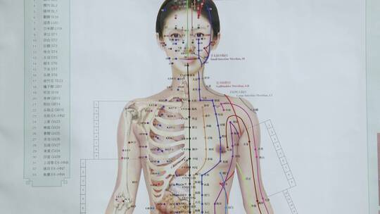 中医穴道人体