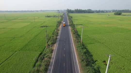 农田  农业  稻田  公路