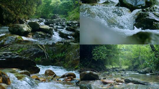 4k森林大自然山泉水溪流流水山水自然风景高清在线视频素材下载