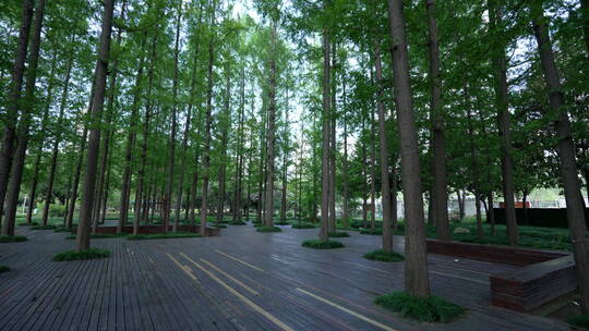 武汉青山和平公园境内园林