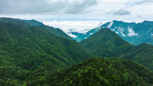 4K高清钱江源瓯江源群山环绕云海