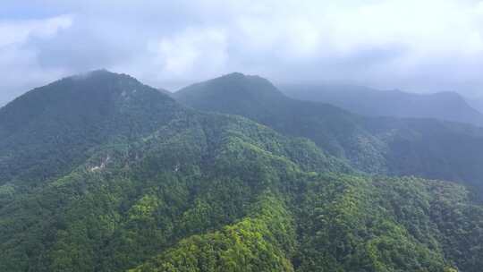 湖北神农架森林高山自然景观