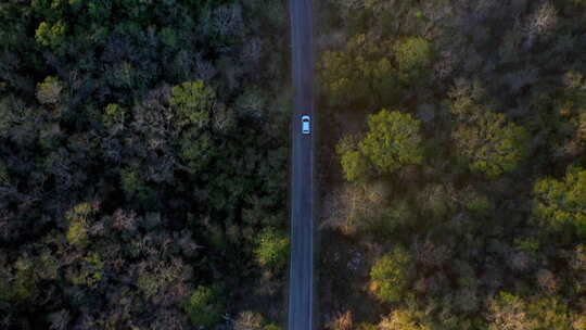 森林中的公路车辆行驶