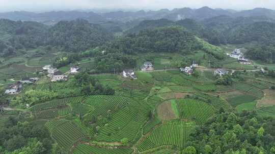 航拍贵州遵义湄潭山间田野乡村田园风光