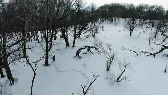 4K冬天冰天雪地人物在雪地艰难行走