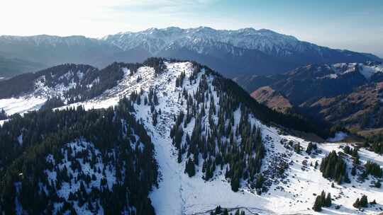 航拍冬季雪山森林