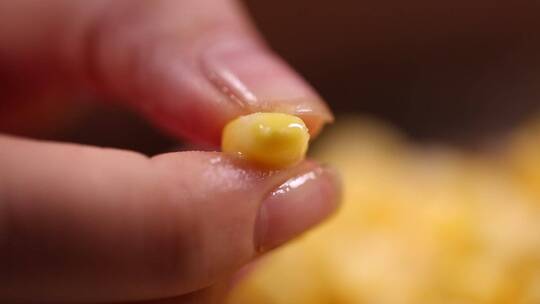 剥下的玉米粒玉米胚芽