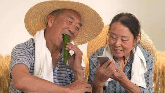 老年夫妇在麦田使用手机通讯