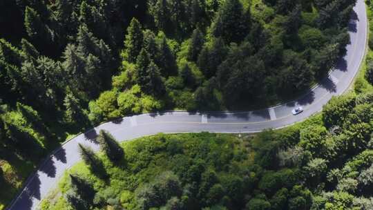 原始森林里公路上行驶的汽车