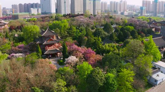 西安青龙寺