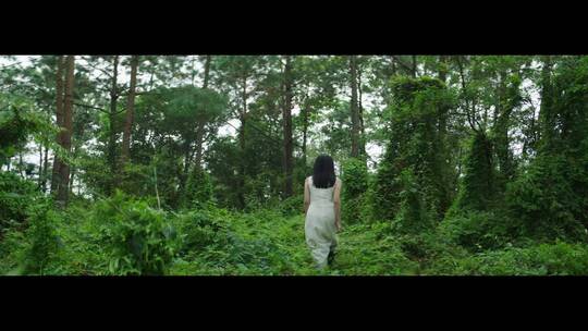 白色长裙女子迷失在森林里找寻