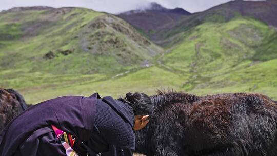 西藏萨普神山牧民