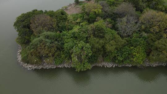 广东东江生态保护区航拍视频素材模板下载