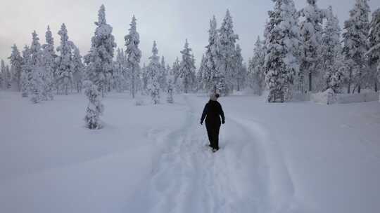 芬兰北极圈拉普兰雪林中探索冬季风景的女孩视频素材模板下载