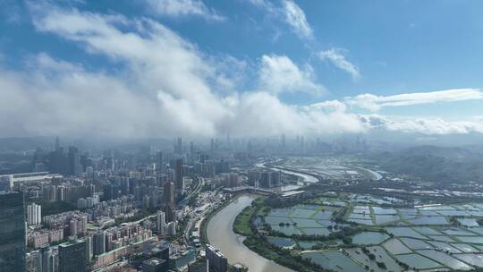 深圳河 水系 香港 交界处 水塘视频素材模板下载