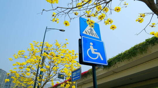 路边人行横道路牌路标