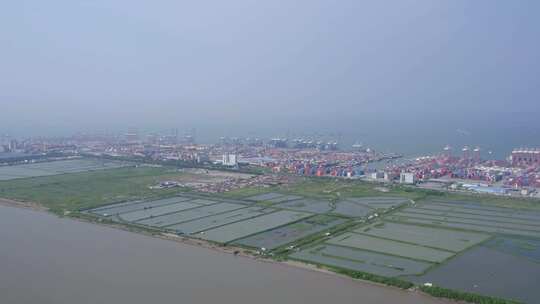 2023广州港南沙港码头集装箱合集视频素材模板下载