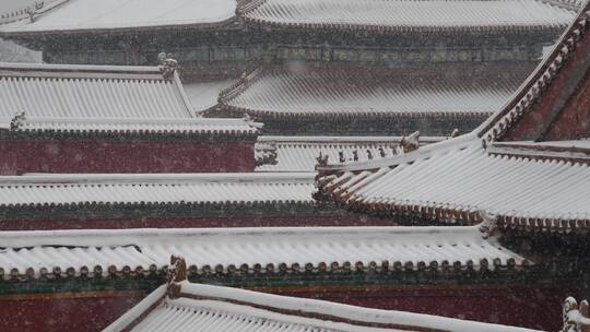 大雪中的故宫屋顶