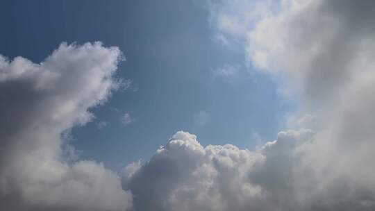 飞向天空