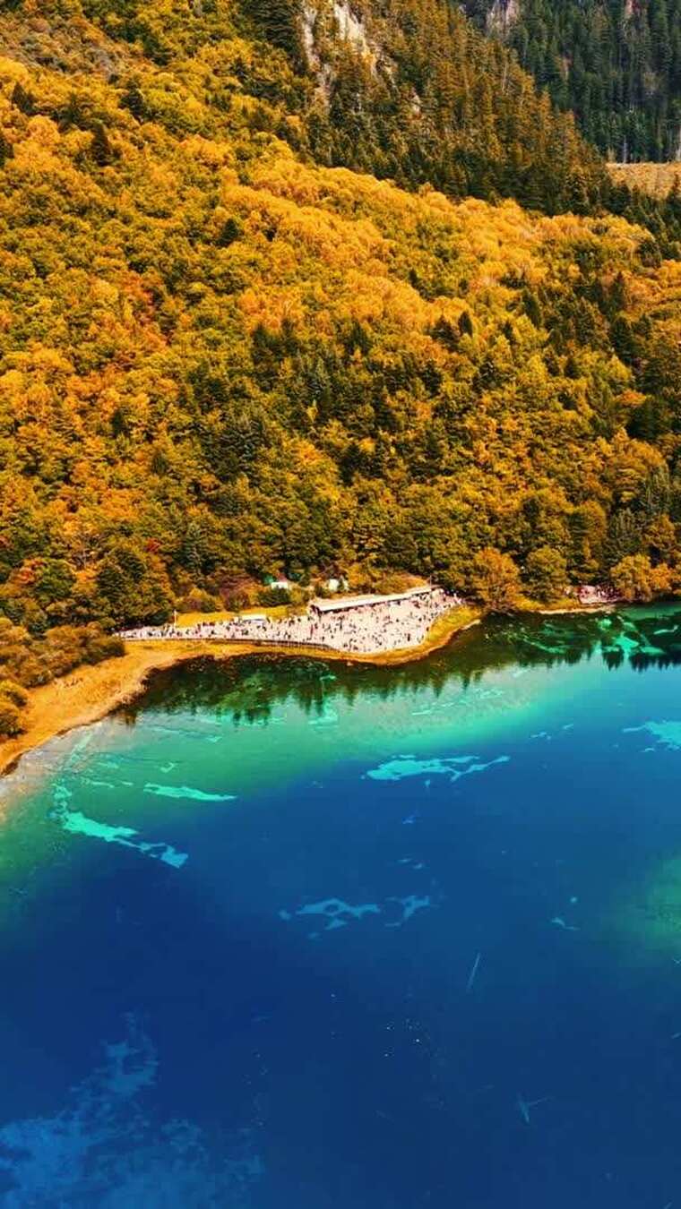 【合集】四川阿坝九寨沟秋色秋景航拍竖屏