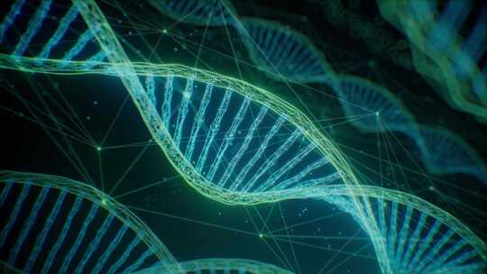 科技信息化数据DNA