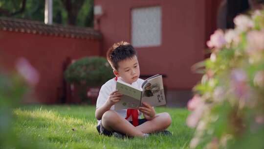 看书 小学生 学习 校园 儿童 读书