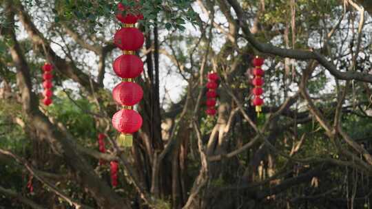 灯笼春节新年节日红灯笼纸灯笼元宵节