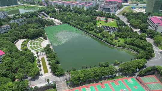 航拍衡阳环境生物学院