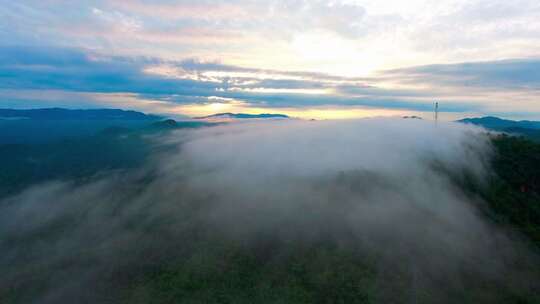 航拍云雾在热带雨林的山间流动