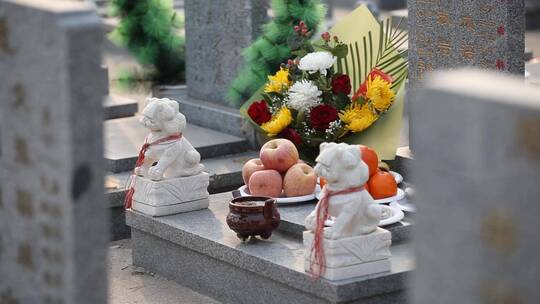 墓地墓碑祭祀上香三炷香代祭祀清明节