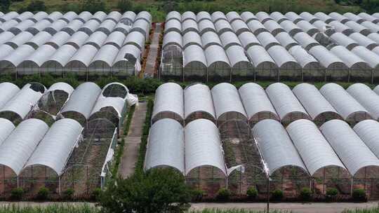 现代化农业大棚基地