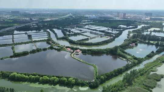 高空航拍绿色湖泊农田湿地公园田园风光孝感