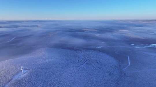 林海雪原冰雪世界雪森林250104 (13)