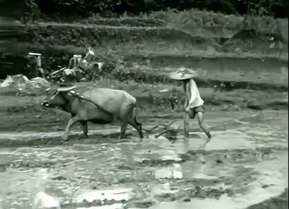 1935年广州干农活的农民