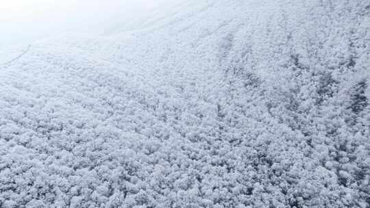 航拍天目山脉龙王山雾凇雪景风光